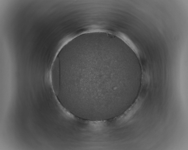 X0000110860813200906251207