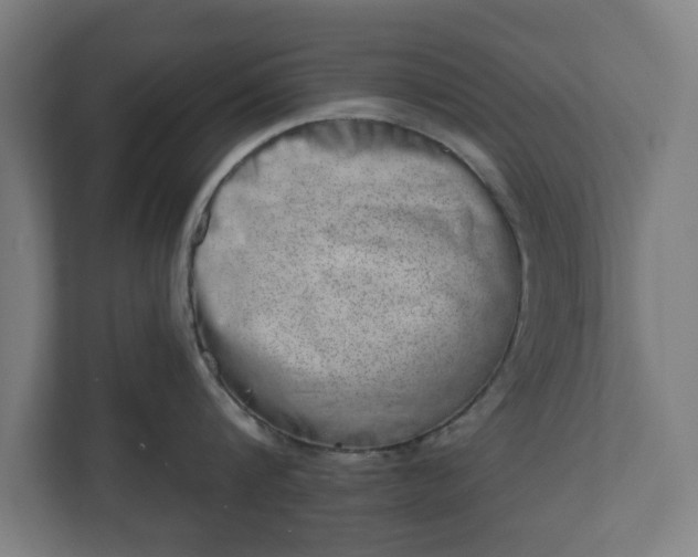 X0000110860816200906251207