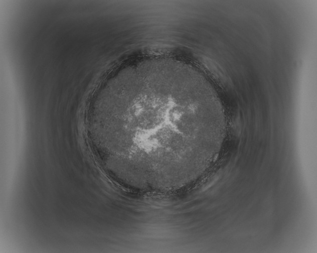 X0000110860817200906251206