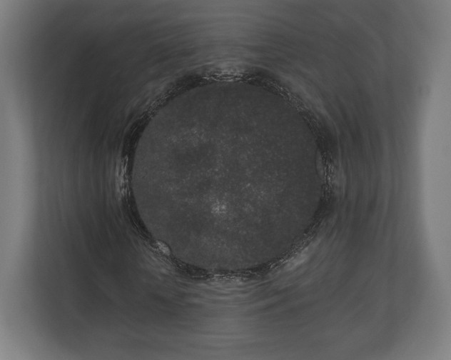 X0000110860818200906251206