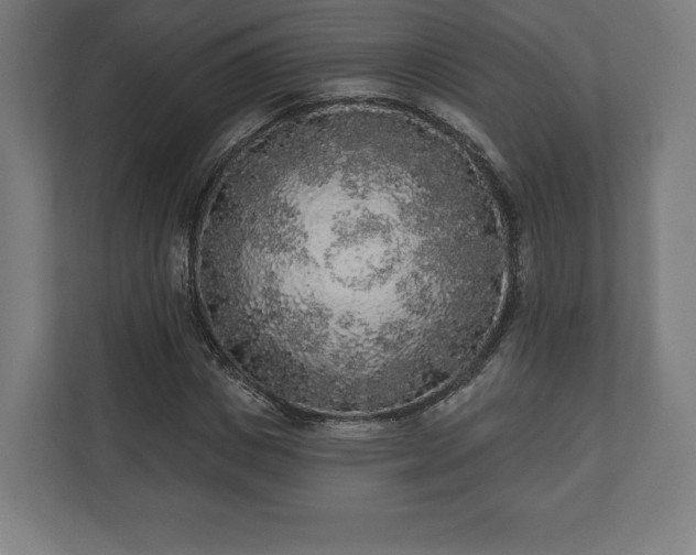 X0000110860825200906251206