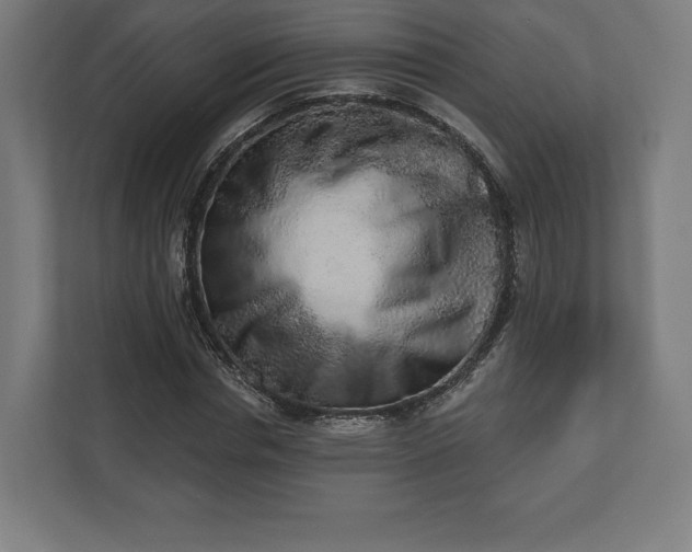 X0000110860826200906251206