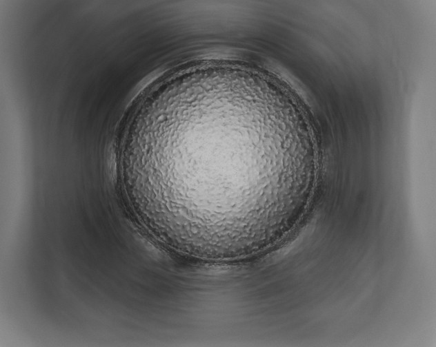 X0000110860829200906251206