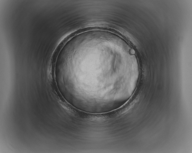 X0000110860830200906251206