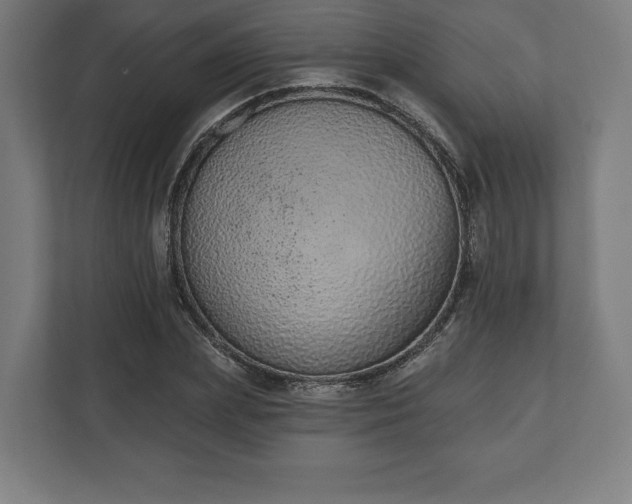 X0000110860831200906251206