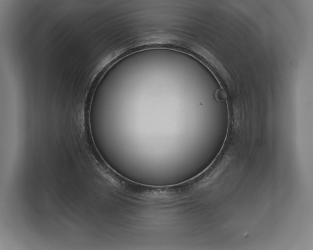 X0000110860834200906251207