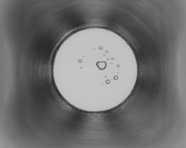 X0000110860836200906251207