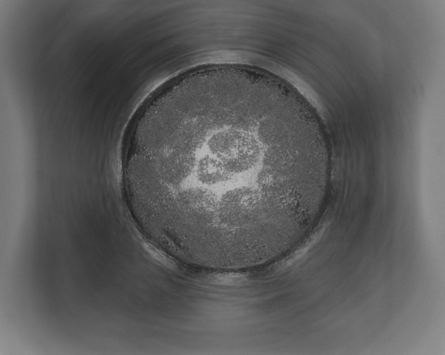 X0000110860837200906251207