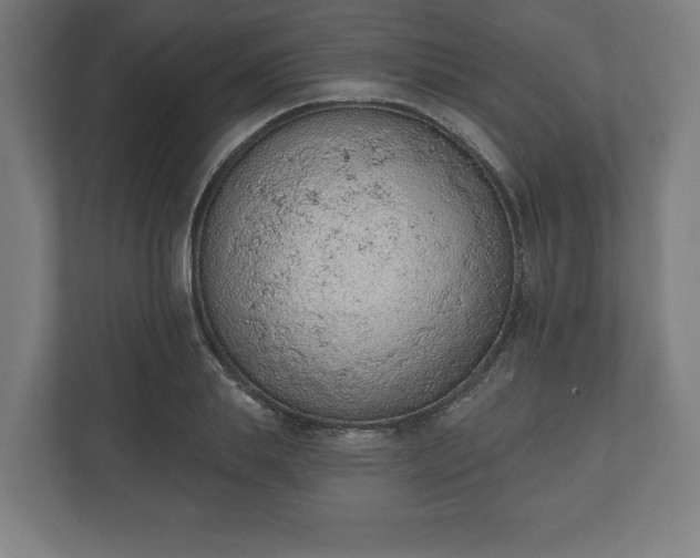 X0000110860839200906251207