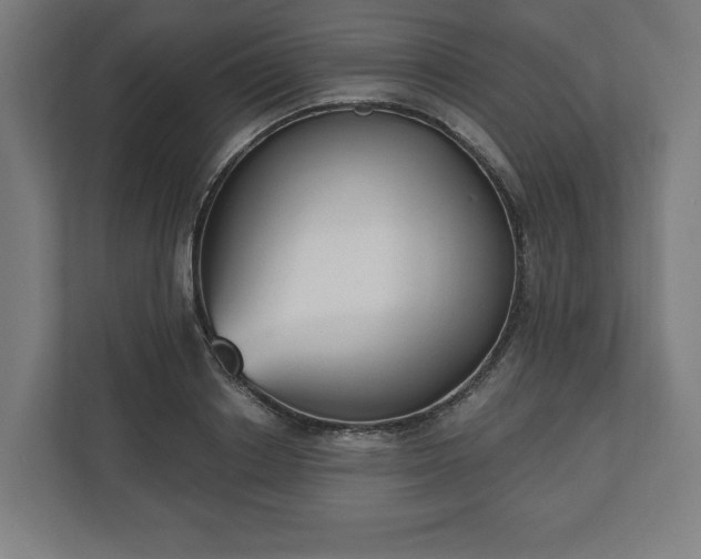 X0000110860842200906251207