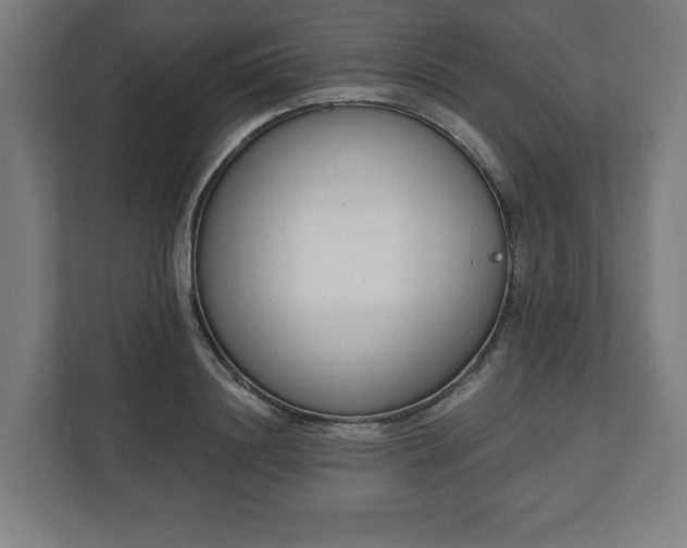 X0000110860844200906251207