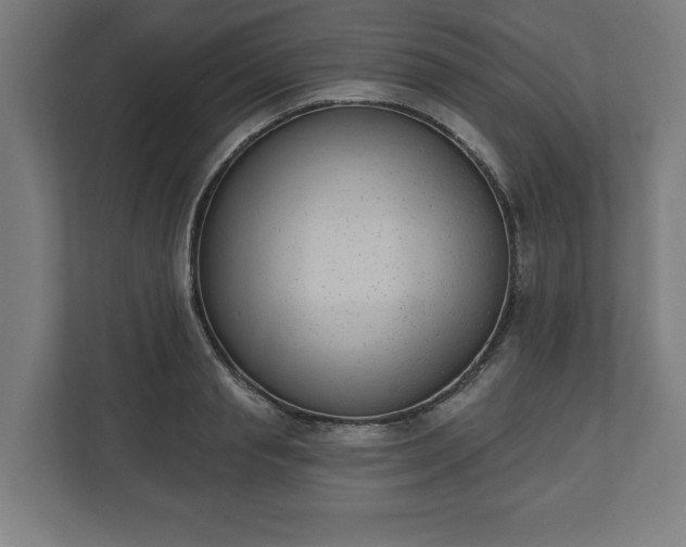 X0000110860845200906251207