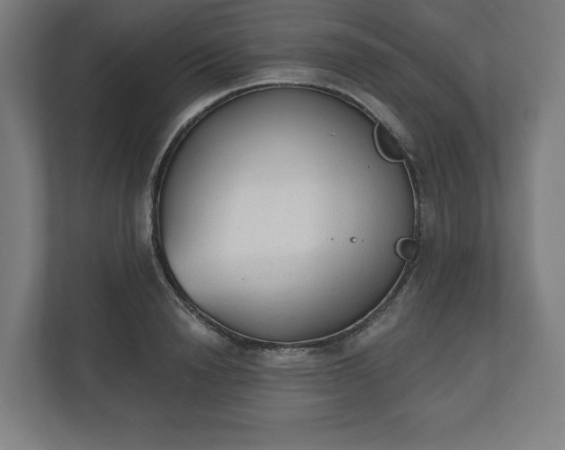 X0000110860846200906251207