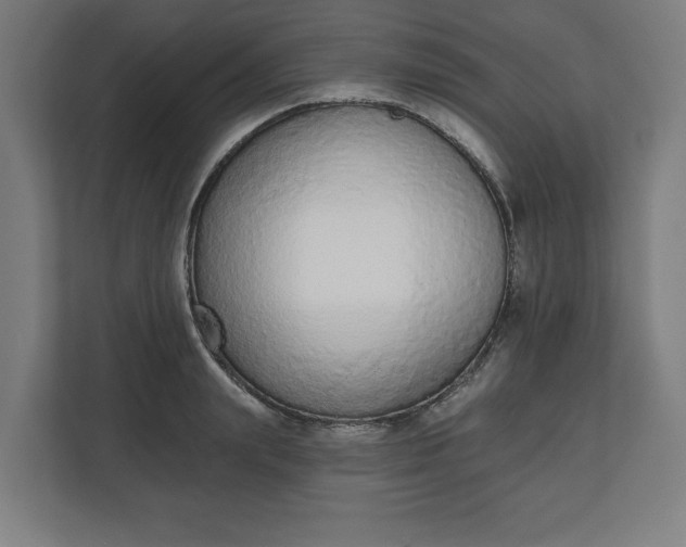 X0000110860847200906251207