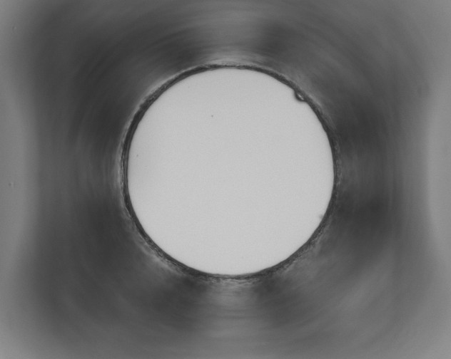 X0000110860848200906251207