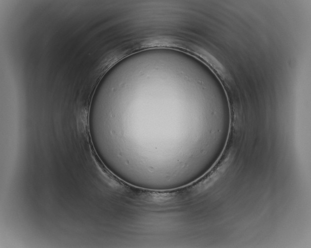 X0000110860849200906251207