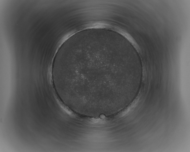 X0000110860850200906251207