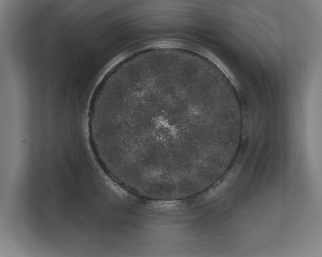 X0000110860853200906251207