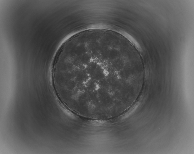 X0000110860854200906251207