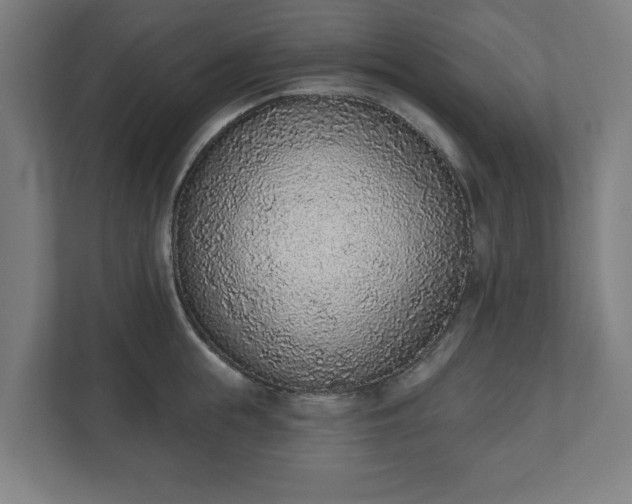 X0000110860855200906251207