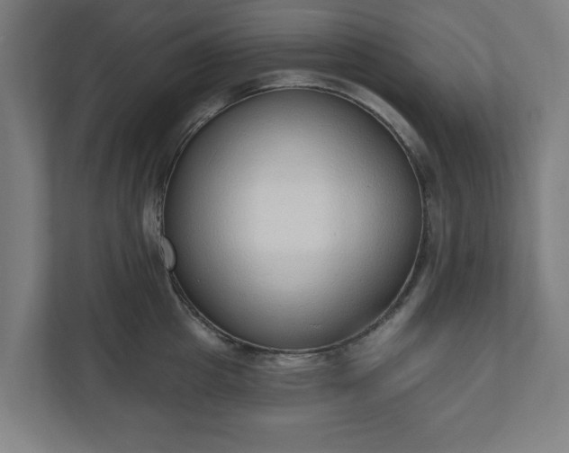 X0000110860857200906251207