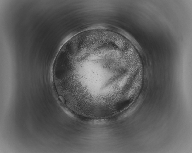 X0000110860858200906251207