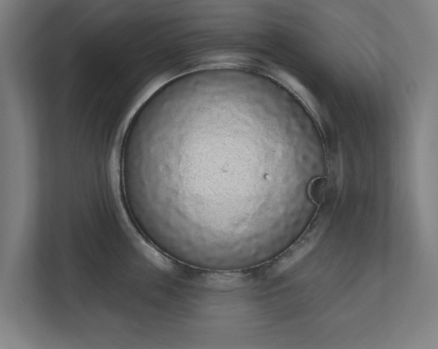 X0000110860859200906251207