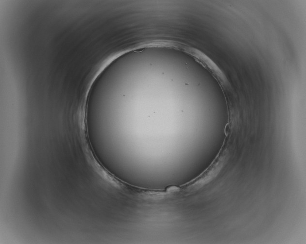 X0000110860860200906251207