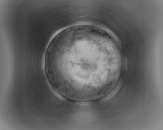 X0000110860862200906251207