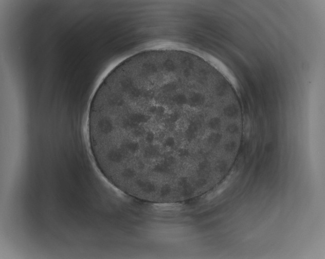 X0000110860863200906251207