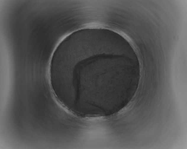 X0000110860864200906251207