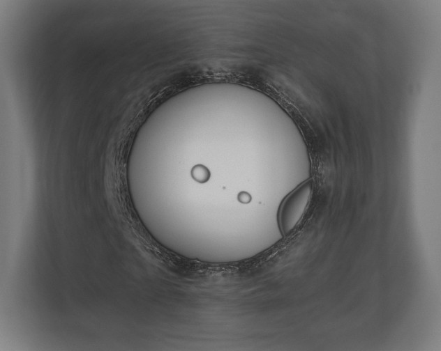 X0000110860865200906251206