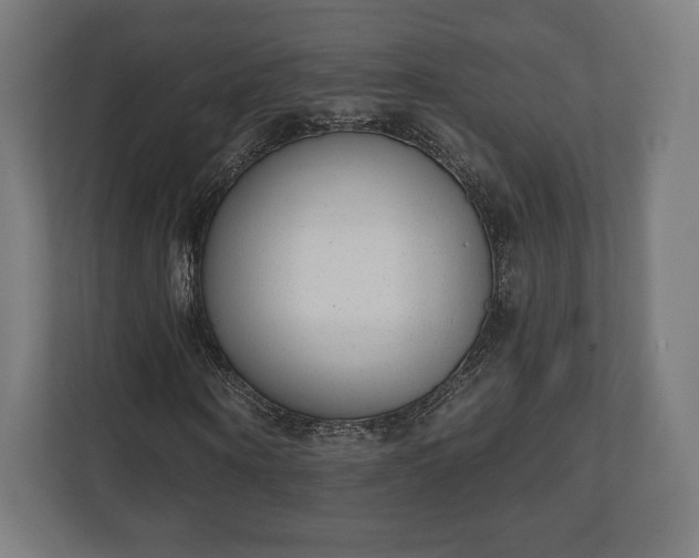 X0000110860866200906251206