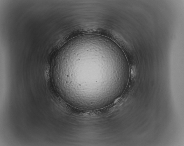 X0000110860867200906251206