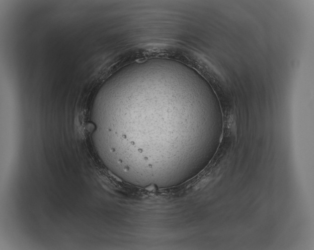 X0000110860868200906251206