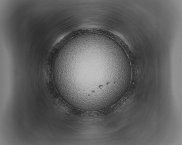 X0000110860871200906251206