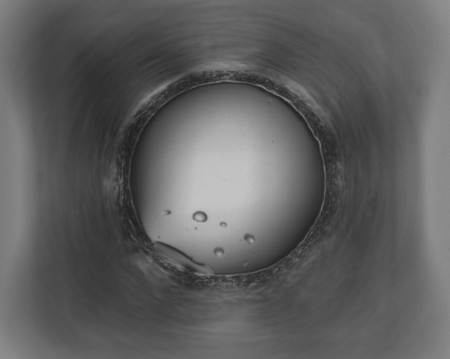 X0000110860872200906251206