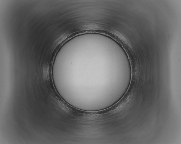 X0000110860873200906251206