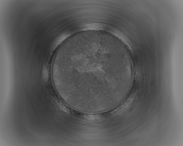 X0000110860874200906251206