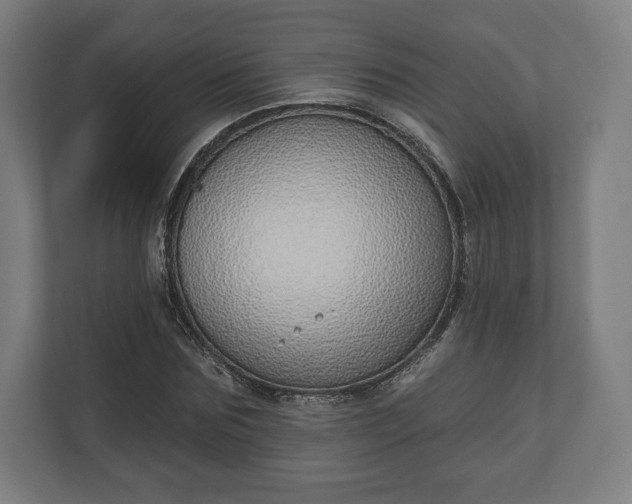 X0000110860875200906251206