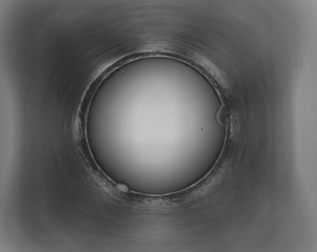 X0000110860876200906251206