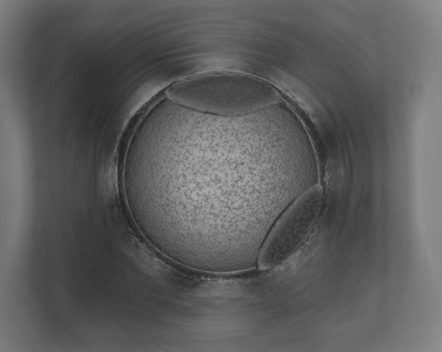 X0000110860877200906251206