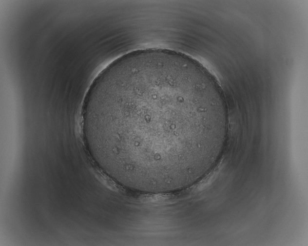 X0000110860879200906251206