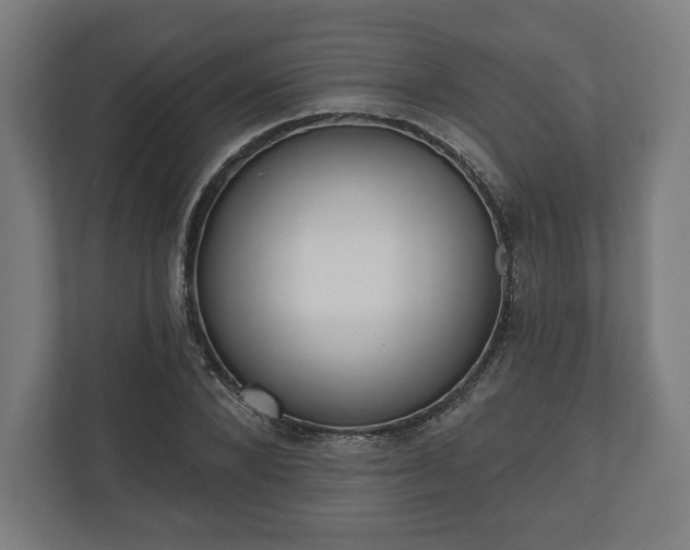 X0000110860880200906251206