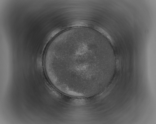 X0000110860882200906251206