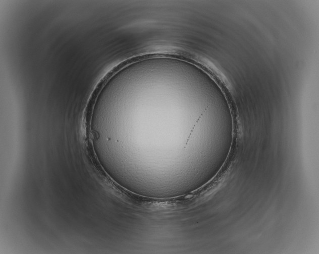 X0000110860883200906251206