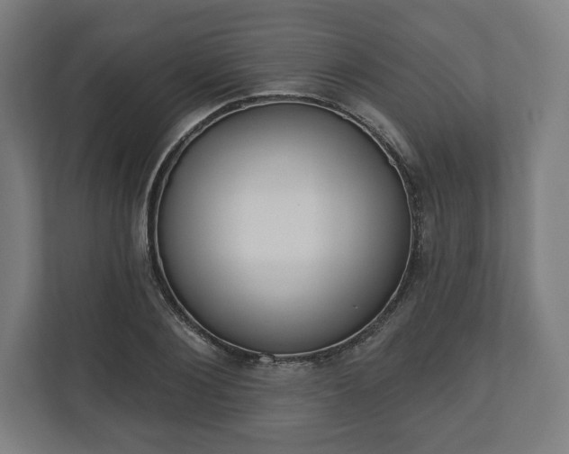 X0000110860884200906251206