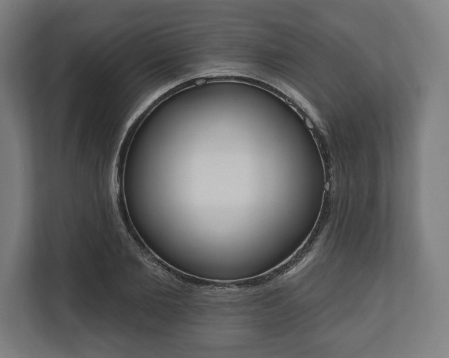 X0000110860885200906251206