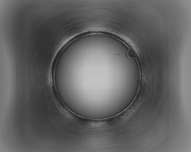 X0000110860887200906251206