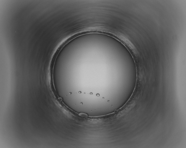 X0000110860888200906251206